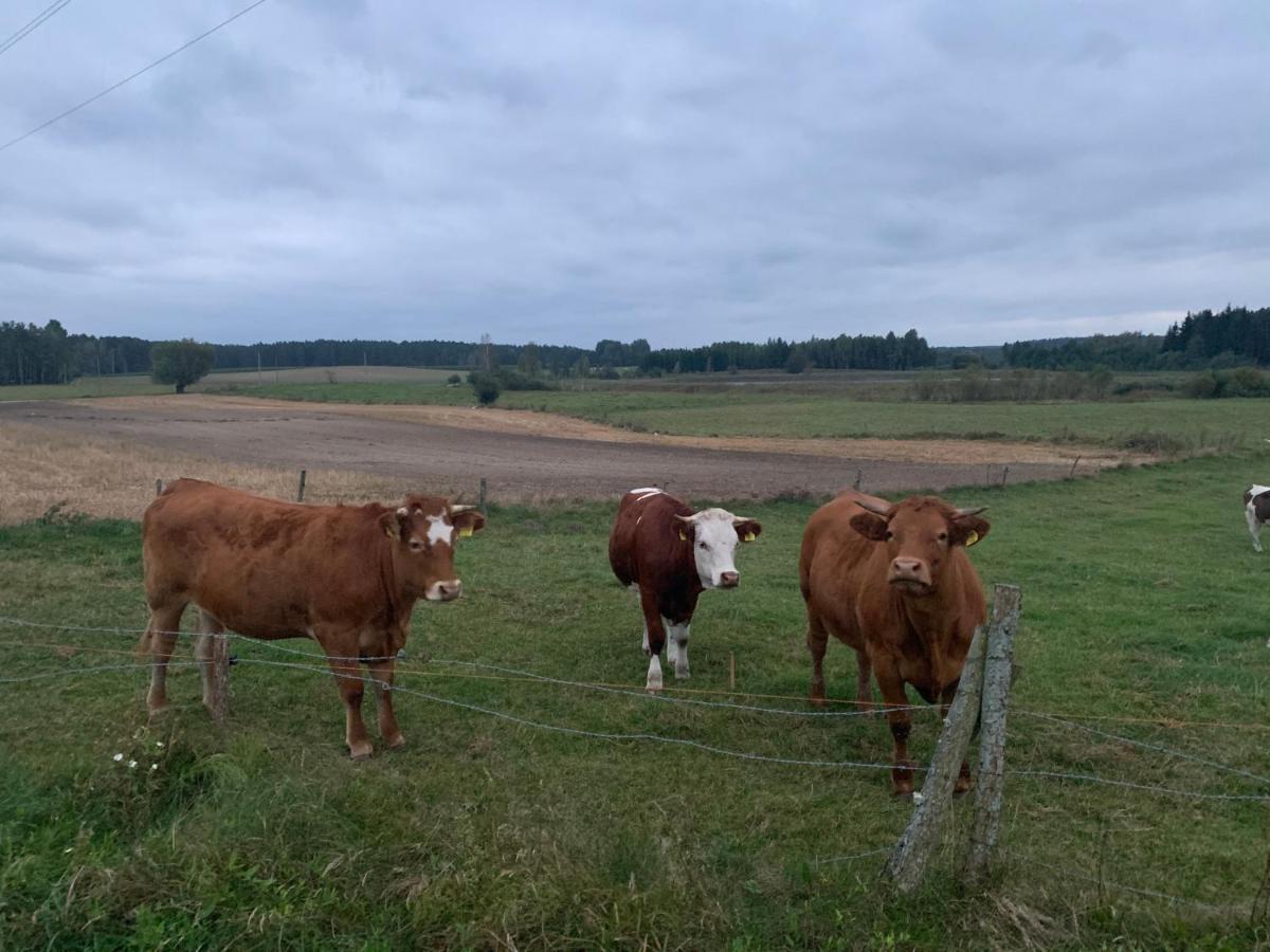 Gizycko-Przerwanki Domki Widok Na Mazury Dış mekan fotoğraf