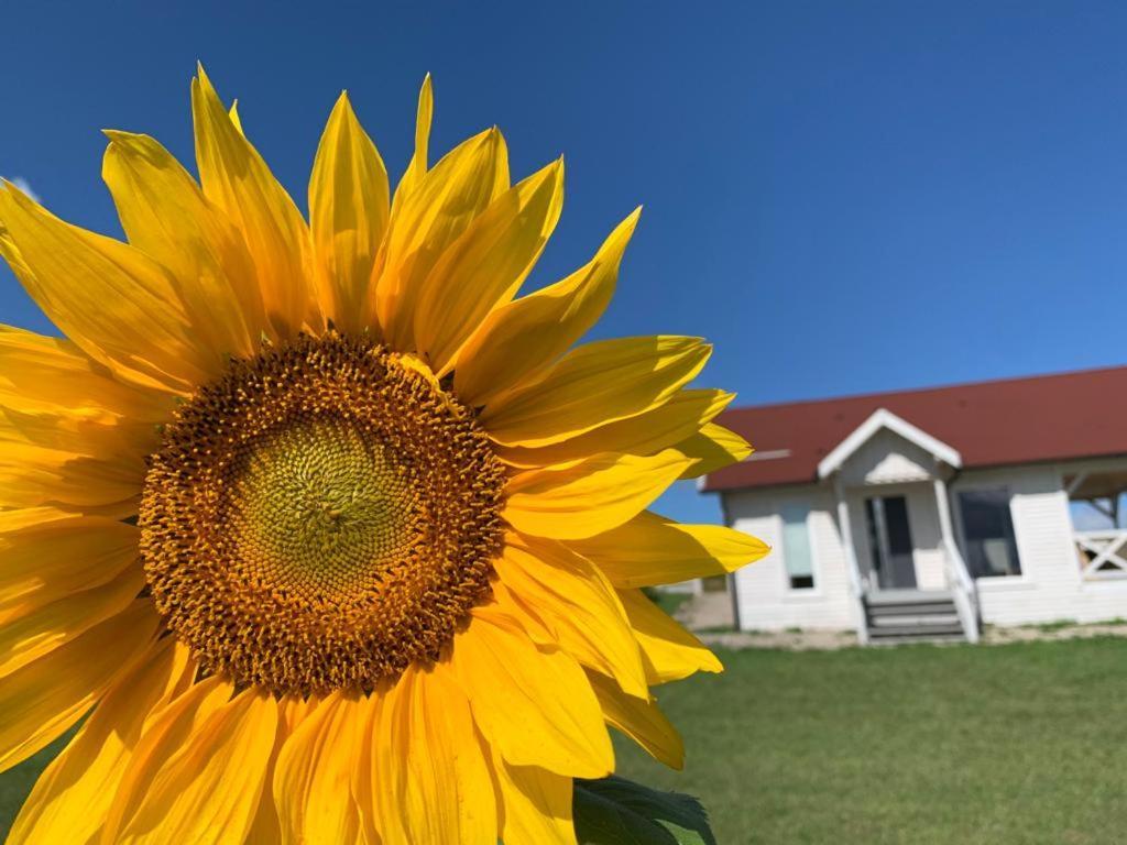 Gizycko-Przerwanki Domki Widok Na Mazury Dış mekan fotoğraf