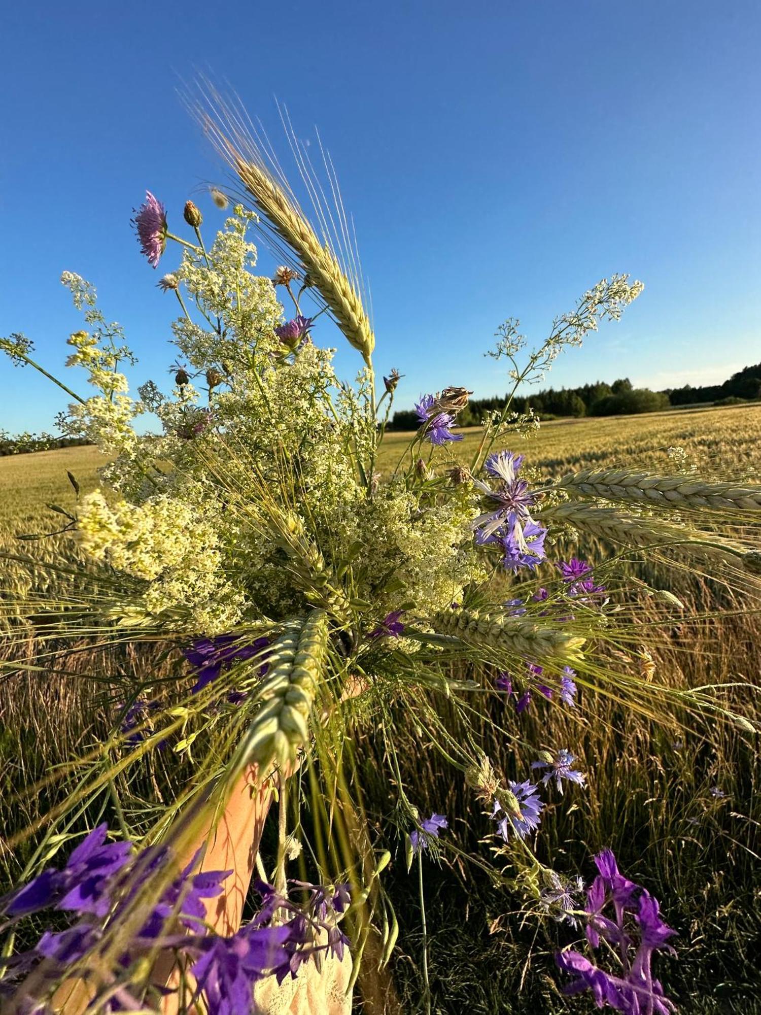 Gizycko-Przerwanki Domki Widok Na Mazury Dış mekan fotoğraf