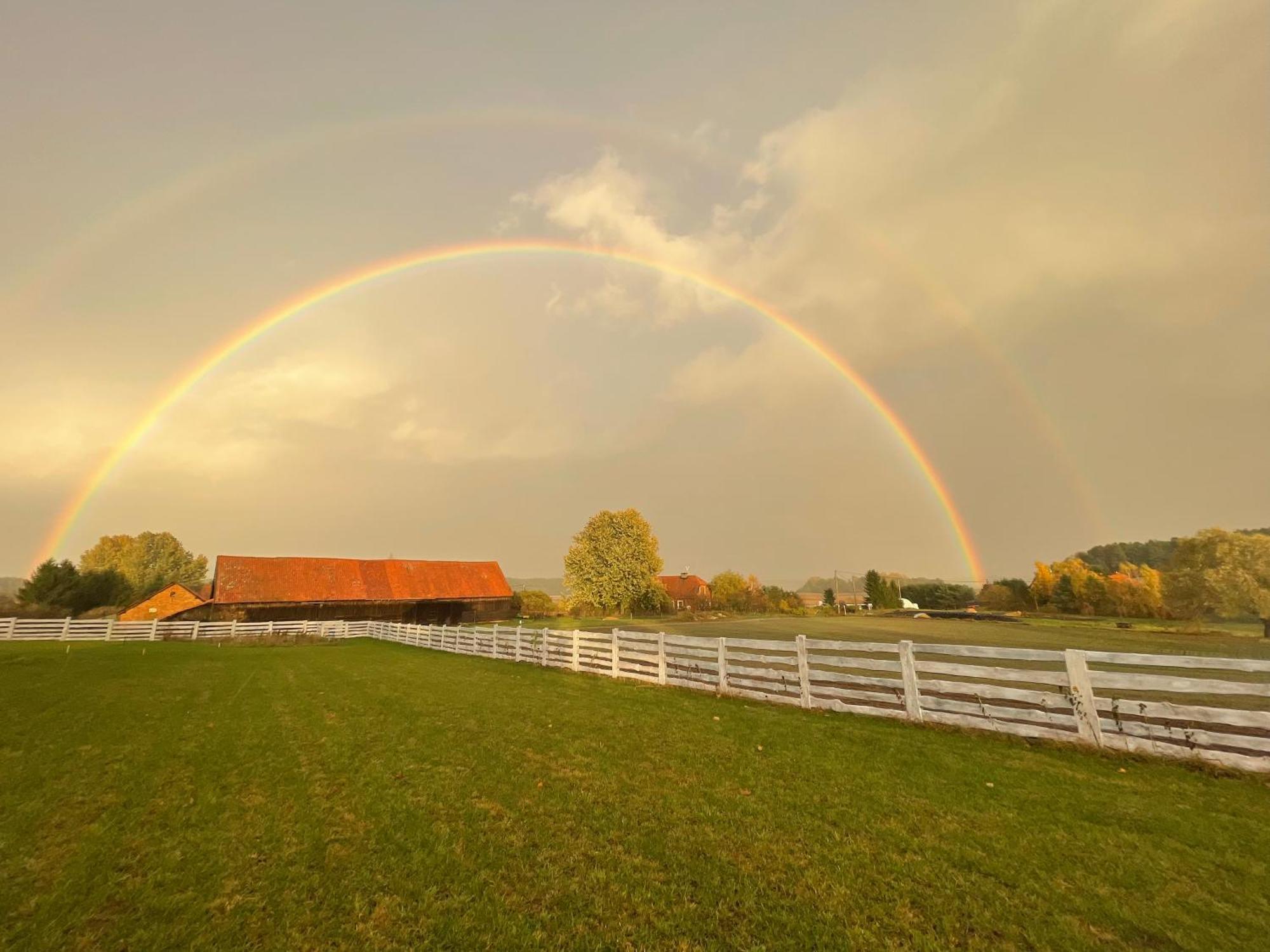 Gizycko-Przerwanki Domki Widok Na Mazury Dış mekan fotoğraf