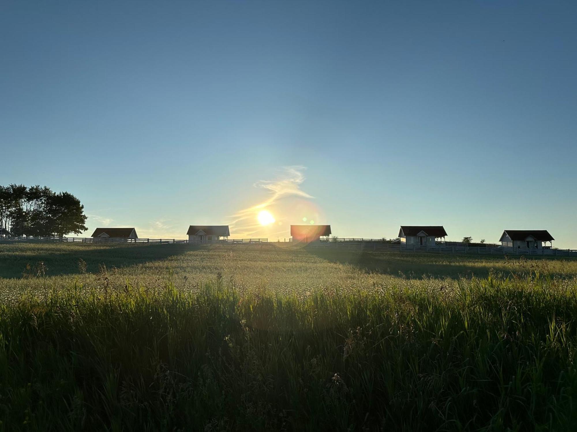 Gizycko-Przerwanki Domki Widok Na Mazury Dış mekan fotoğraf