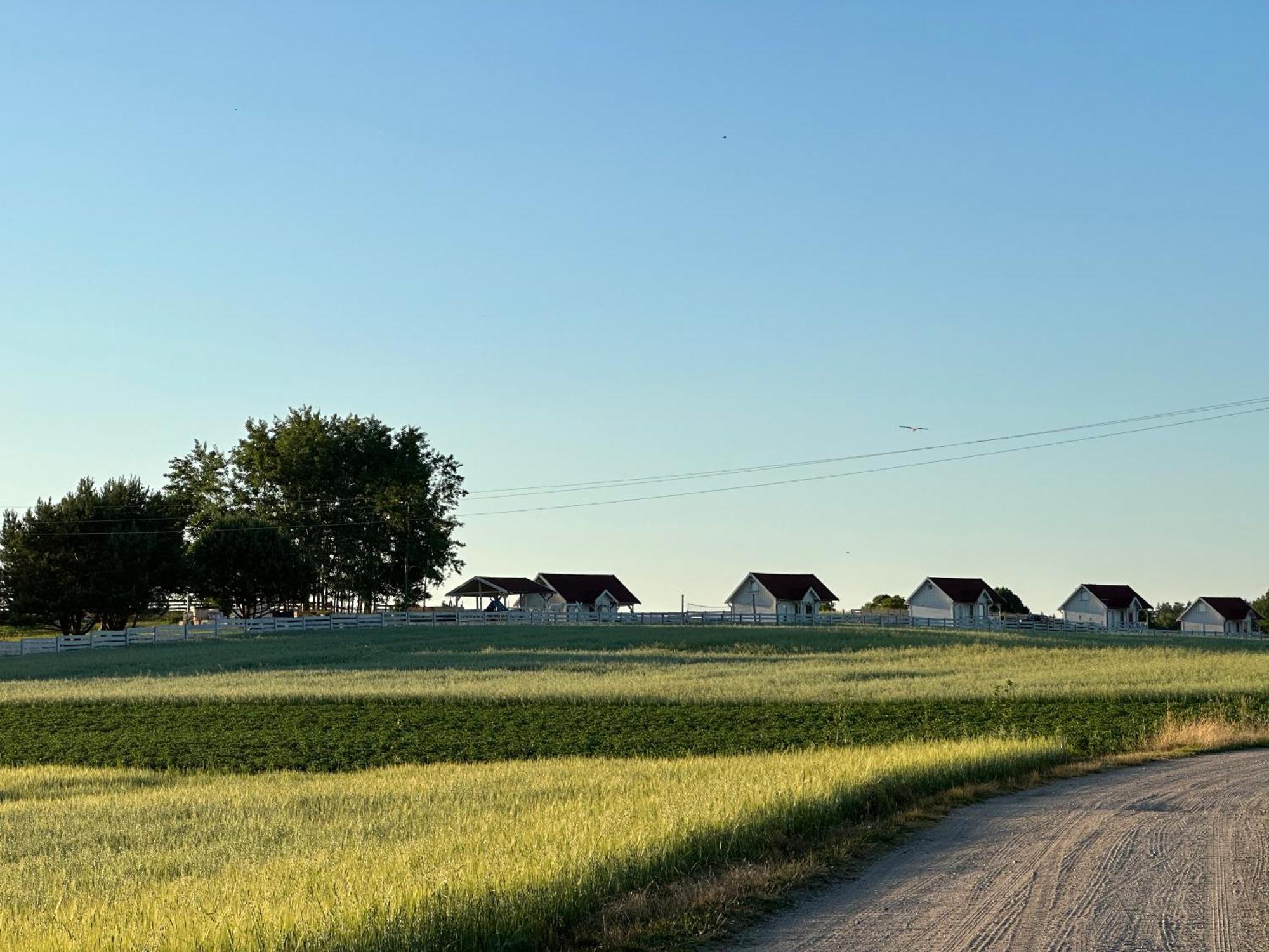 Gizycko-Przerwanki Domki Widok Na Mazury Dış mekan fotoğraf