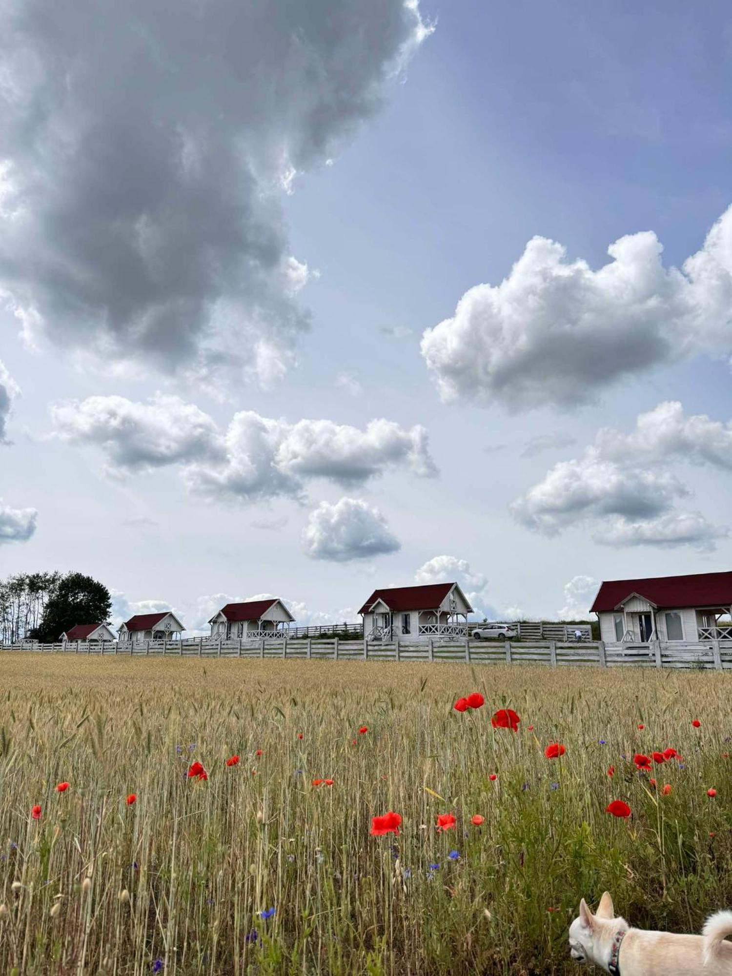 Gizycko-Przerwanki Domki Widok Na Mazury Dış mekan fotoğraf